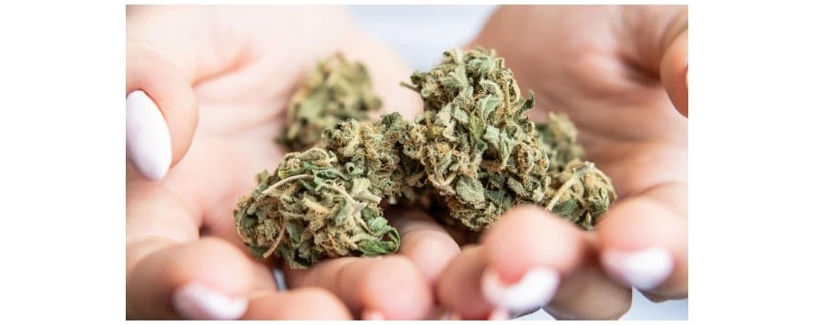 CBD