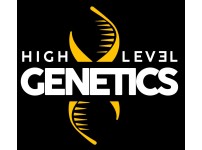 High Level Genetics